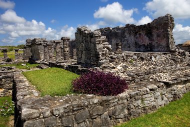Antik maya şehri Harabeleri tulum, yucatan, Meksika