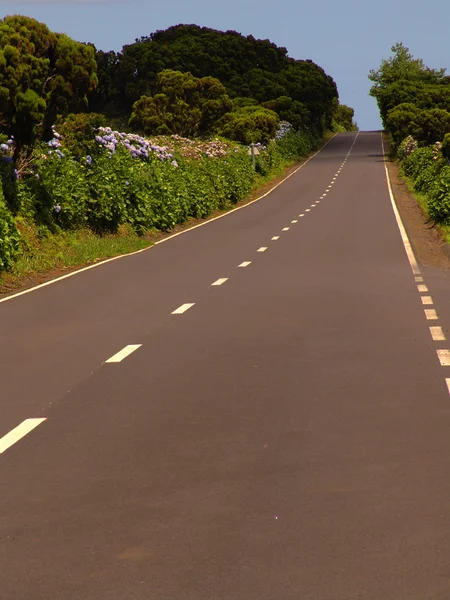 Silnice v Azory — Stock fotografie
