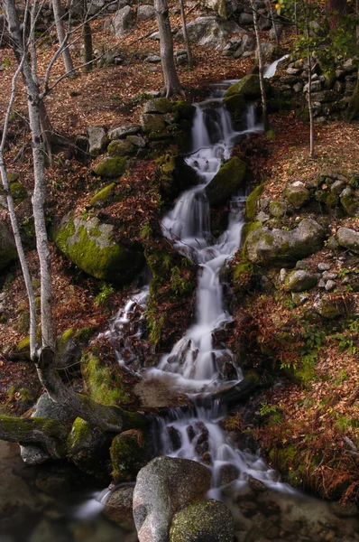 Hösten river vattenfall i portugisiska national park — Stockfoto