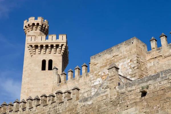 Část katedrály Mallorca, Palma de Mallorca, Španělsko — Stock fotografie