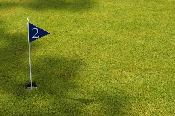 Golf field detail — Stock Photo, Image
