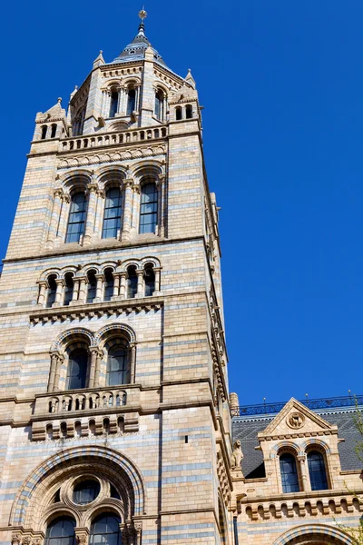 Museo de Historia Natural de Londres, Inglaterra — Foto de Stock