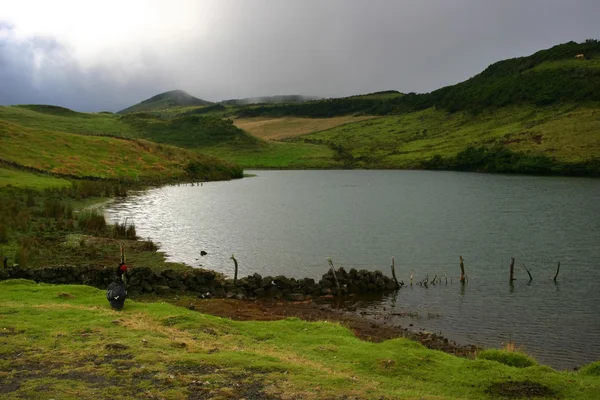 Açores pequeno lago — Fotografia de Stock