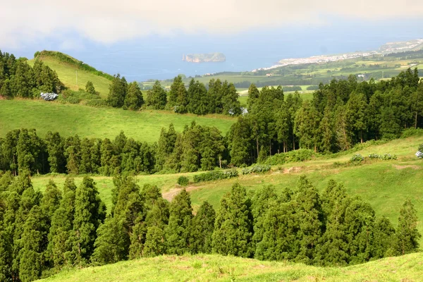 Paysage des Açores — Photo