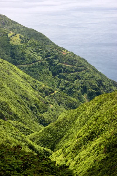 アゾレス諸島沿岸眺め s でミゲル島します。 — ストック写真