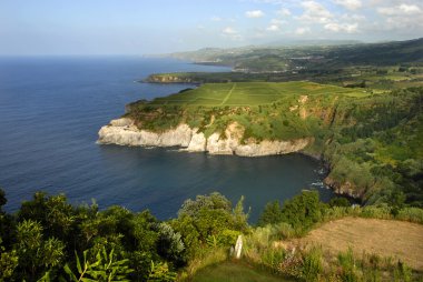 Azores kıyı cliff sao miguel Island