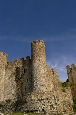 Obidos kale ayrıntılı bakış açısı olarak