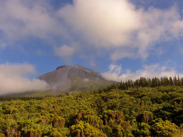 Azores big pico mountain at pico island — Stock Photo, Image