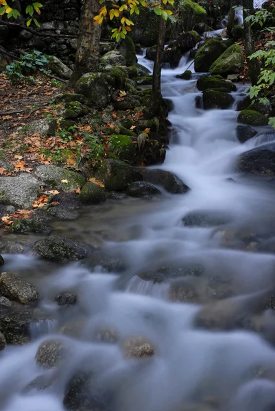 Piccolo fiume nel parco nazionale portoghese — Foto Stock