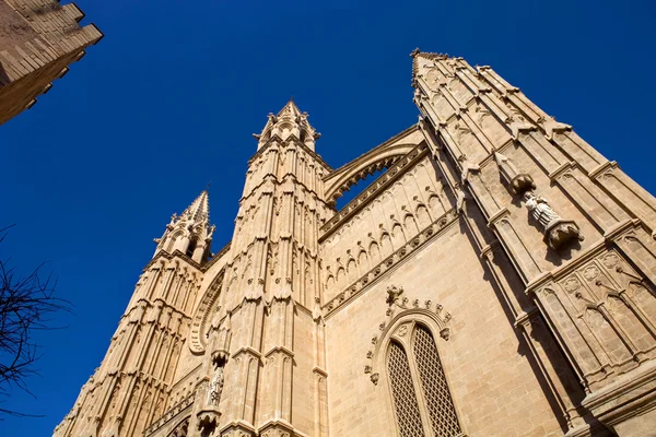 Detail of Mallorca cathedral — Stock Photo, Image