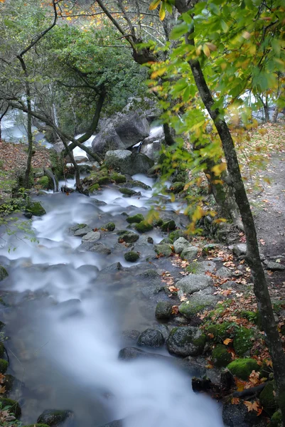 Dlouhé expozice v řece v podzimním čase — Stock fotografie