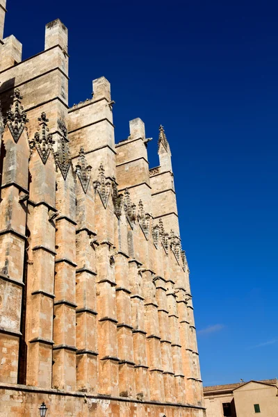 Detail of Mallorca cathedral — Stock Photo, Image