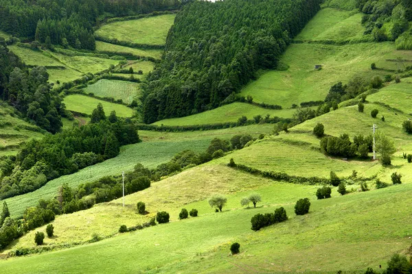 Azores paisagem natural em s miguel ilha — Fotografia de Stock
