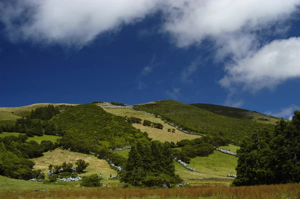 Azoren landschap — Stockfoto