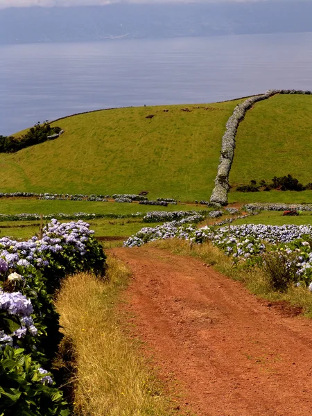 Ler estrada em Açores — Fotografia de Stock