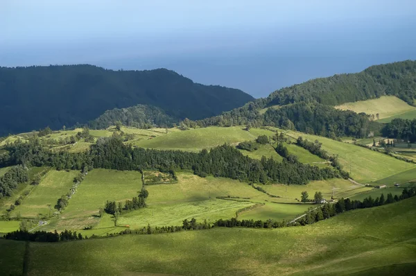 Campi sulla costa delle Azzorre — Foto Stock