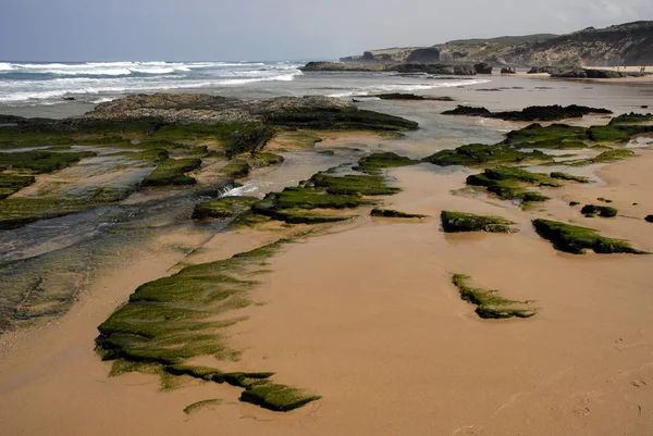 Güney Portekiz algarve, plaj — Stok fotoğraf