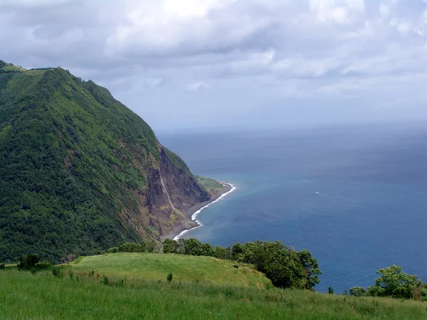 アゾレス諸島の海岸 — Stock fotografie