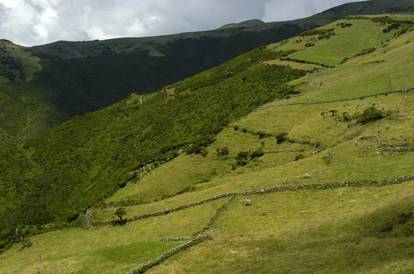 Colline — Foto Stock