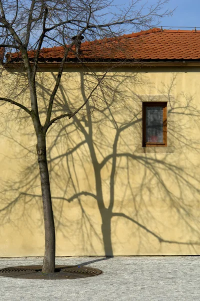 Casa — Fotografia de Stock