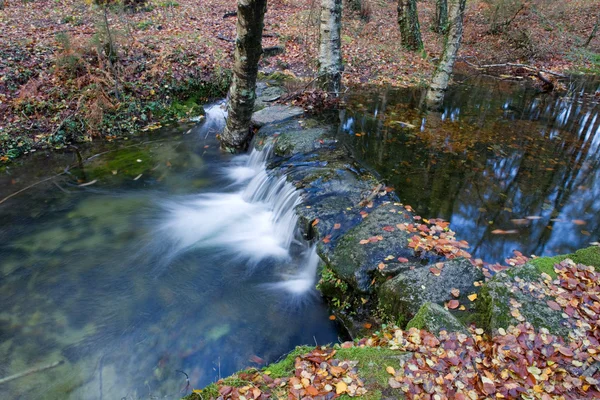 Şelale — Stok fotoğraf