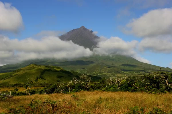 Azores mountain — Stock Photo, Image