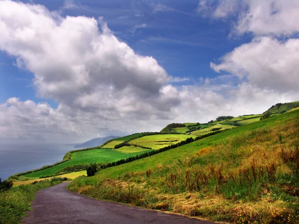 Açores — Fotografia de Stock