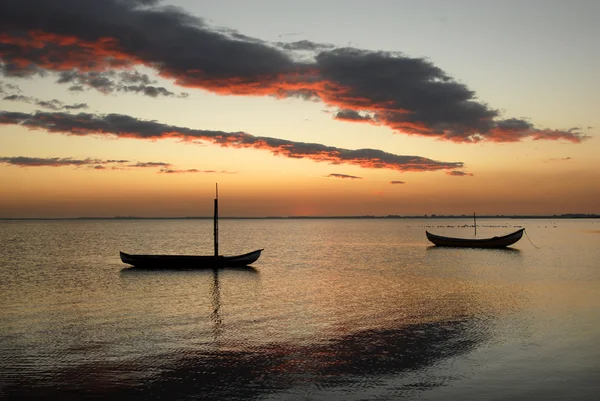 Kleine moliceiro Portugese boten — Stockfoto