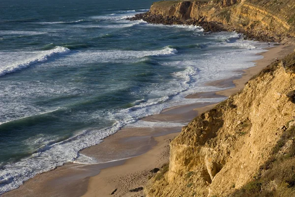 Beach — Stock Photo, Image