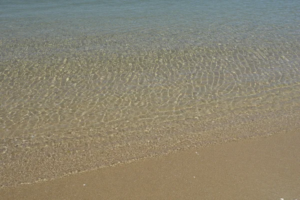 Grön våg i sanden på stranden — Stockfoto