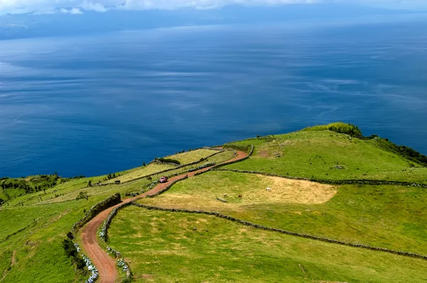 Campos en la costa de las Azores —  Fotos de Stock