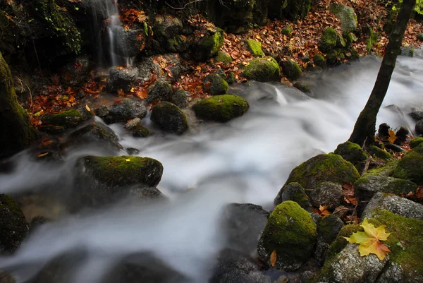 Řeka — Stock fotografie