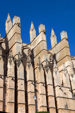 ayrıntı mallorca Katedrali
