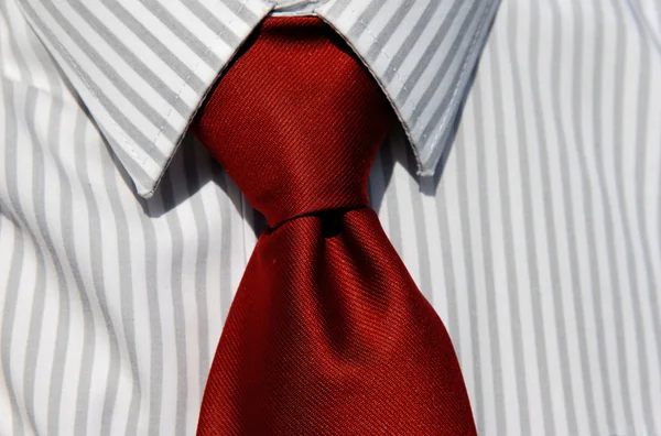 Üzleti férfi nyakkendő — Stock Fotó