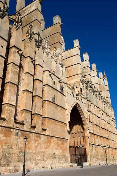 Mallorca cathedral — Stock Photo, Image