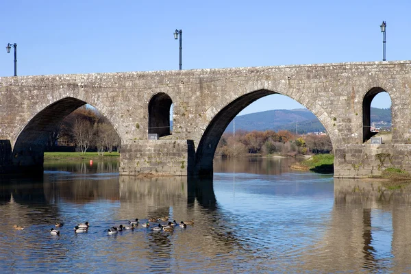 Bron över ponte de lima — Stockfoto