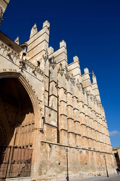 Mallorca cathedral — Stock Photo, Image