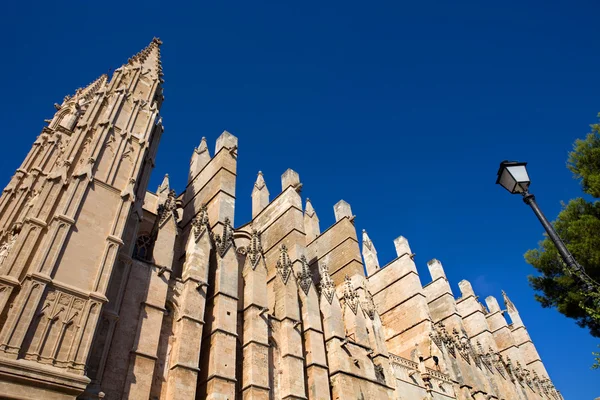 Mallorca cathedral — Stock Photo, Image