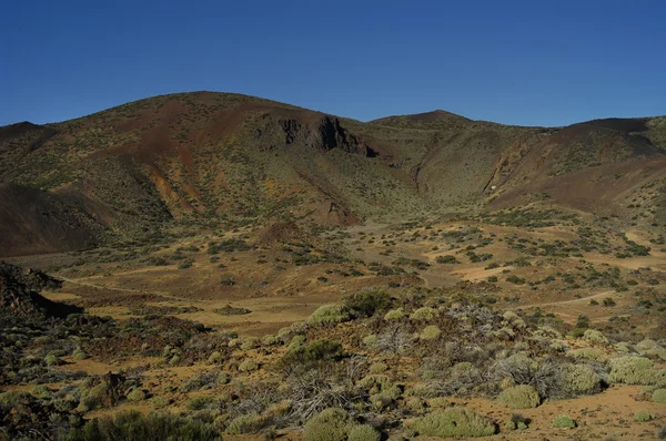 Teneriffa-Landschaft — Stockfoto