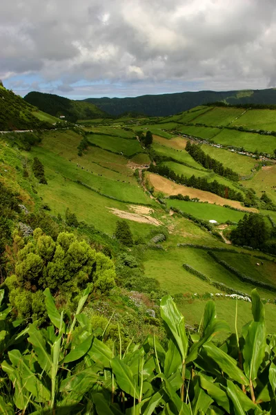 Azores vista natural — Foto de Stock