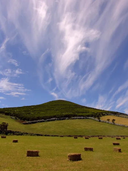 Azores — Stock Photo, Image