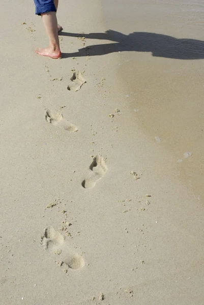 Woman feet walking in the wet sand Stock Picture