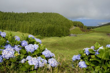 Azores alanları