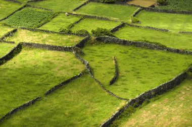 Azores alanları