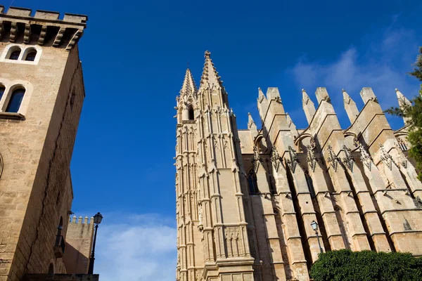 Detalhe da catedral de Maiorca — Fotografia de Stock