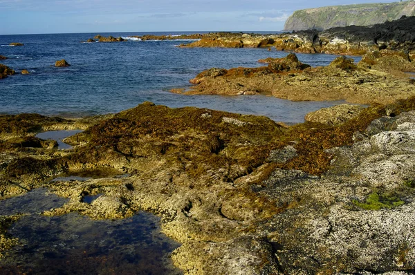 Côte des Açores — Photo