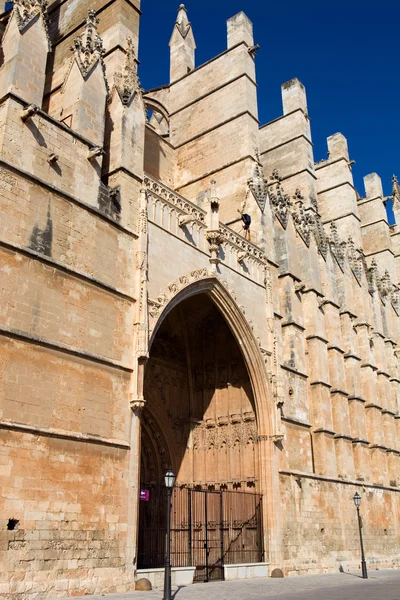 Catedral de Maiorca — Fotografia de Stock
