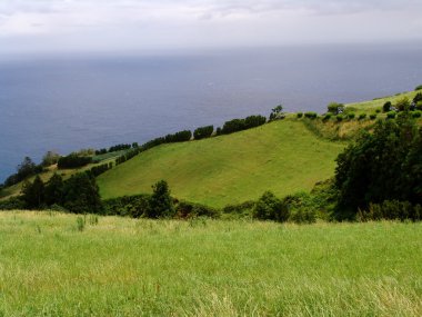 Azores alanları