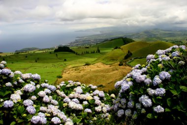 Azores yeşil alanlar