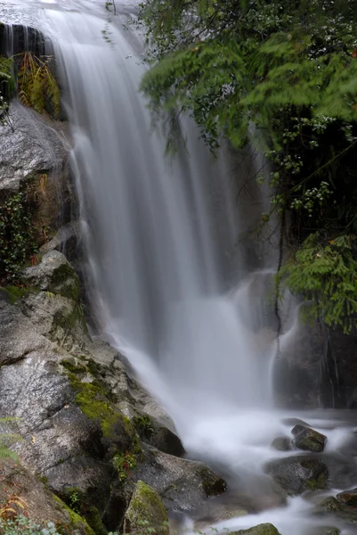 River waterfall in the portuguese national park — Stock Photo, Image